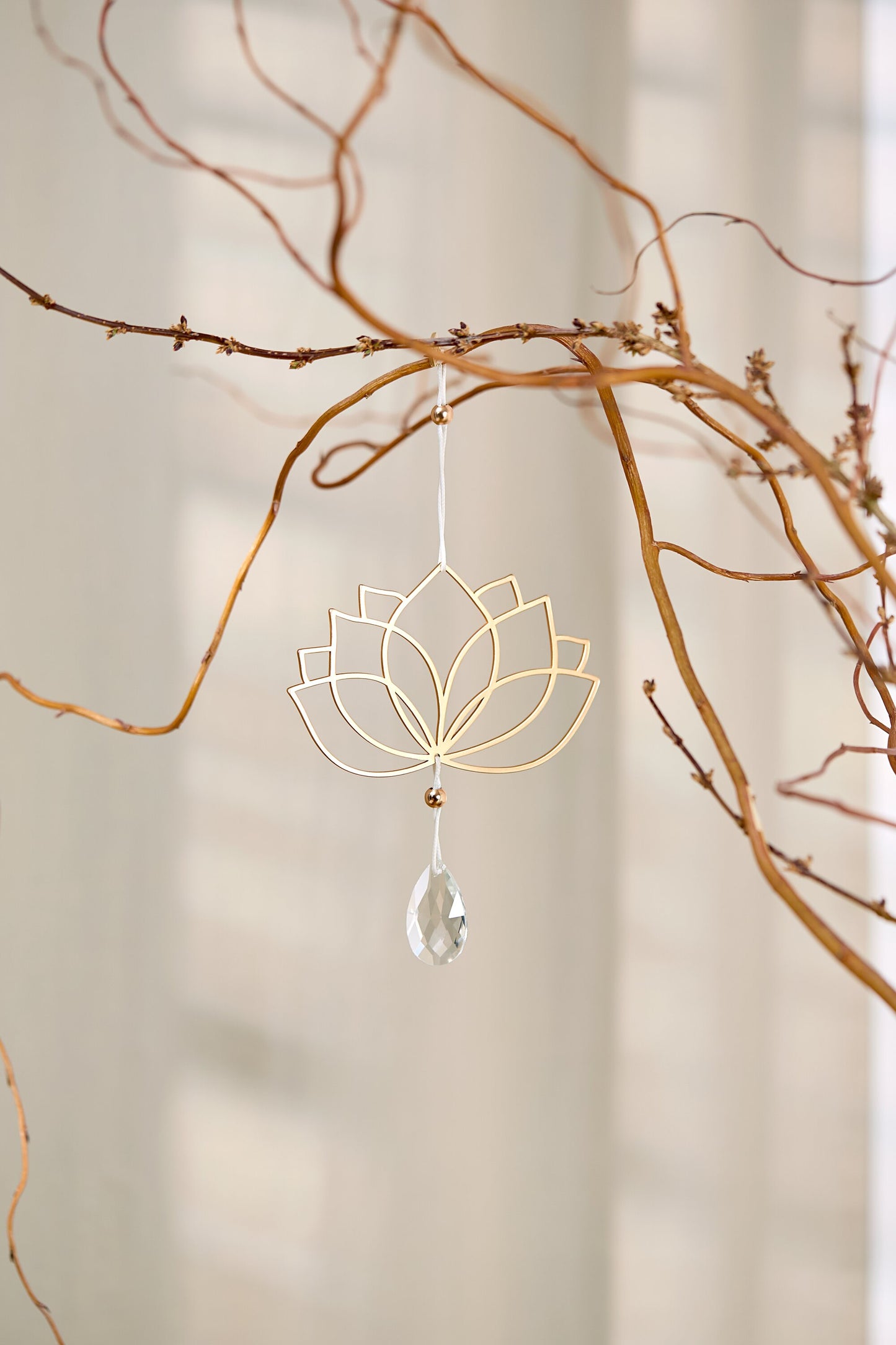 Zen Spirit Sonnenfänger Lotus von räder design Highlight Maße: 14.1x11,9cm